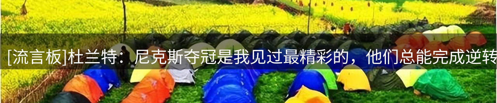 今日速览